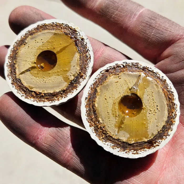 Close-up of a hand holding two cross sections showing the insides of a layered object with a resin center.