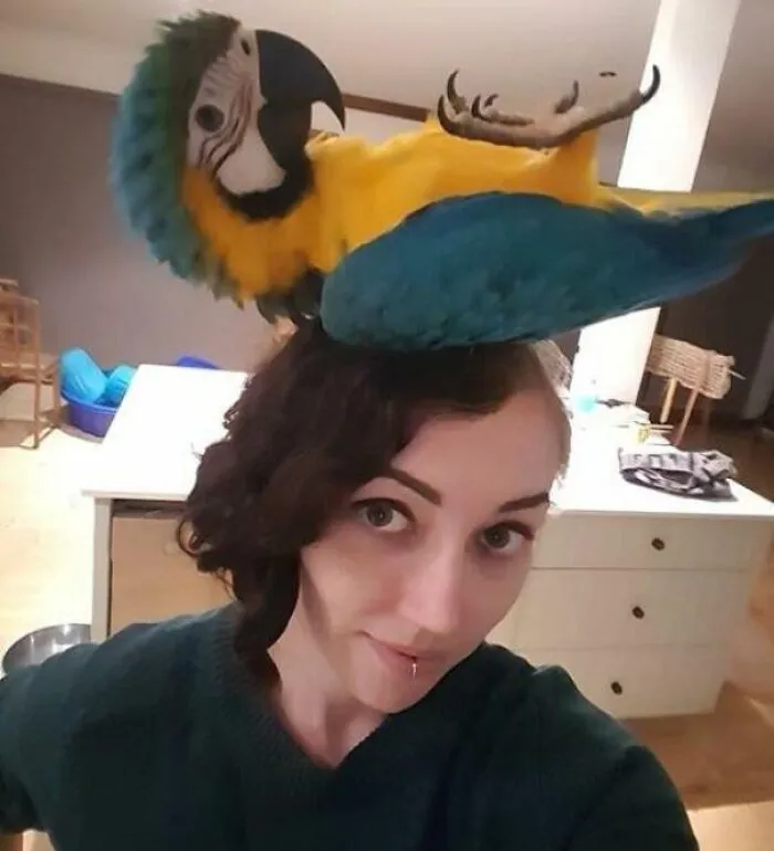 “Do You Like My Hat?”