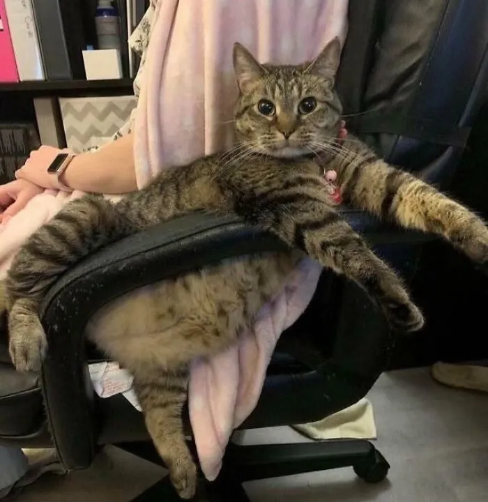 Such Poise And Dignity