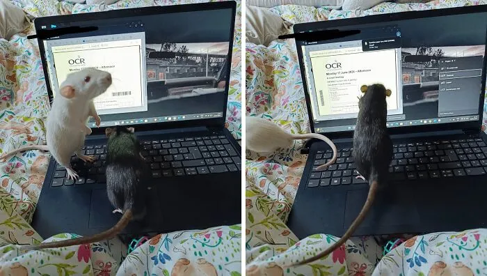 Sam And Dean Are Doing Lore Research (For Those Who Know)