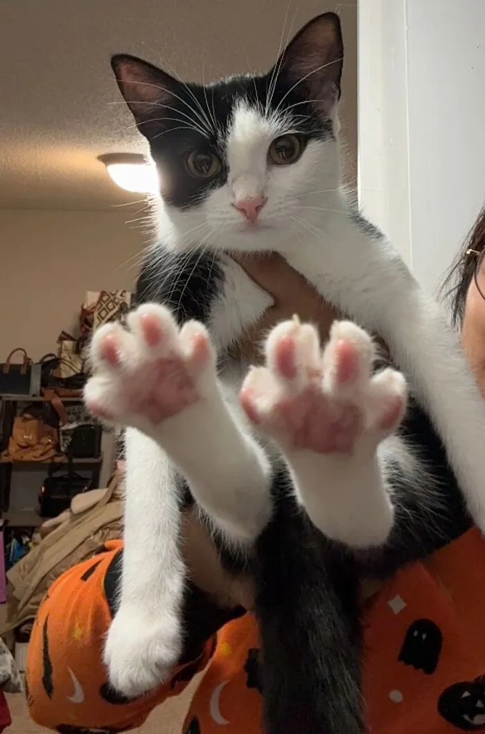 50 People Share Awkward Photos Of Their Pets, And The Results Are Pure Comedy Gold