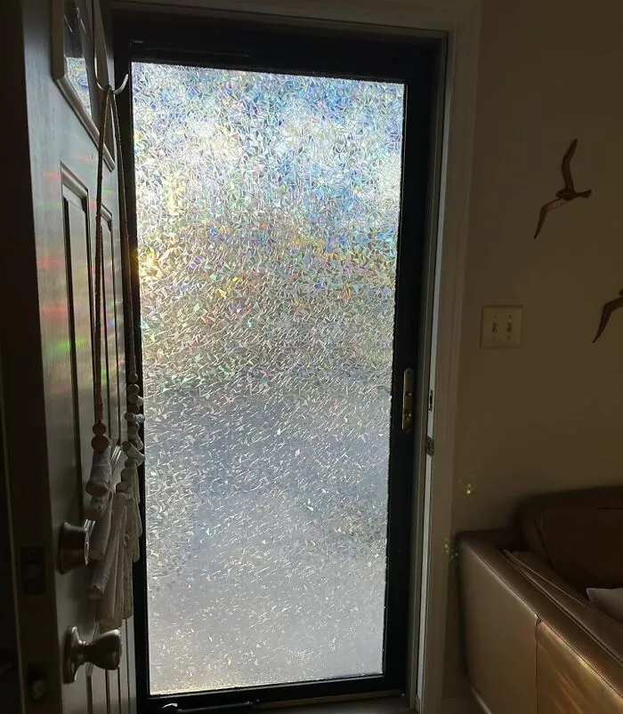 The Nosy Squirrel Who's Been Judging Your Life Choices From The Window Ledge Will Have To Find A New Hobby Once You've Installed Some <a Style="Display:inline;" Href="Https://Www.amazon.com/Volcanics-Privacy-Stickers-Rainbow-Control/Dp/B0dnt29hhh?ie=utf8&th=1&linkcode=ll1&tag=bpzebra-20&linkid=9d3a7eb4043a9f9057d711d1124c51b7&language=en_us&ref_=as_li_ss_tl" Target="_blank">  <span Style="Font: Inherit; Color: #d74b1f;"> Window Privacy Film </Span>