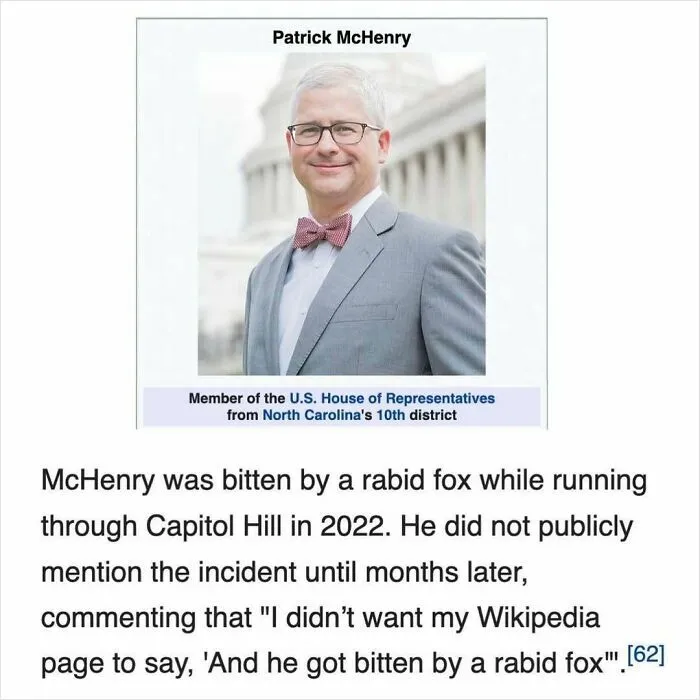50 Times Wikipedia Pages Cracked People Up So They Had To Share Them Online