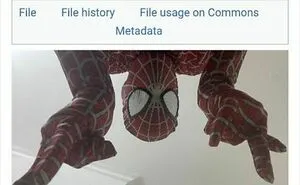 50 Times Wikipedia Pages Cracked People Up So They Had To Share Them Online
