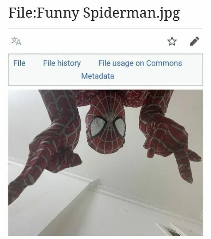 Funny-Wikipedia-Images