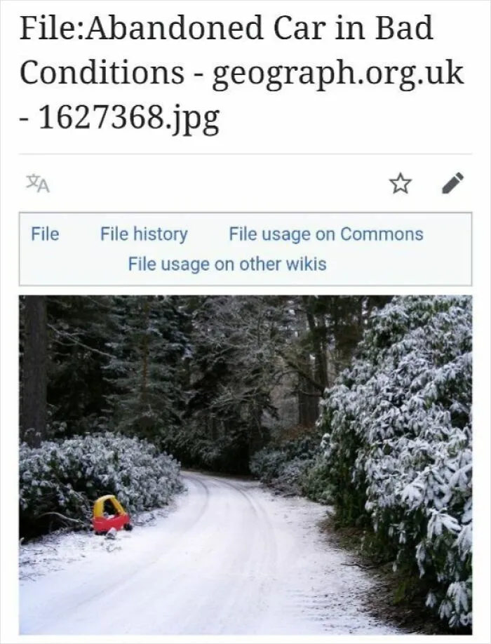50 Times Wikipedia Pages Cracked People Up So They Had To Share Them Online