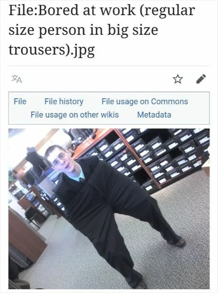 50 Times Wikipedia Pages Cracked People Up So They Had To Share Them Online