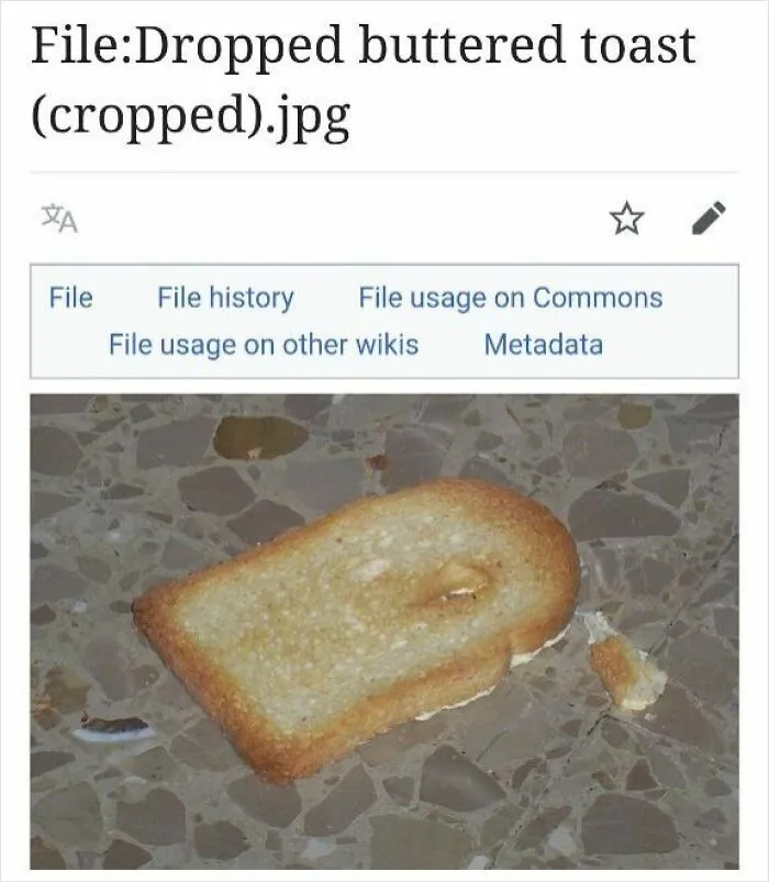 Screenshot of a Wikipedia file page showing a dropped buttered toast image humorously shared online.