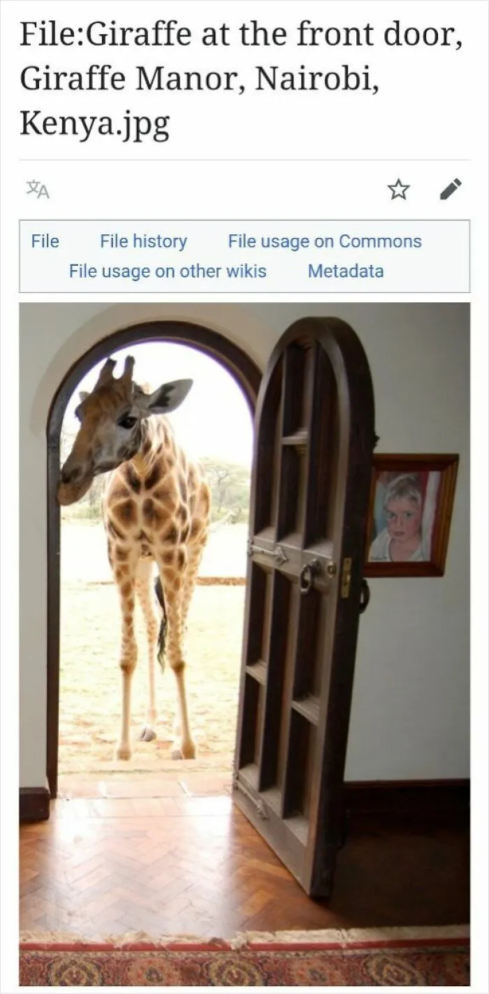 50 Times Wikipedia Pages Cracked People Up So They Had To Share Them Online