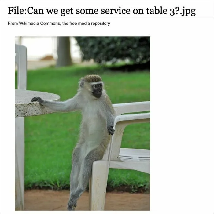 50 Times Wikipedia Pages Cracked People Up So They Had To Share Them Online