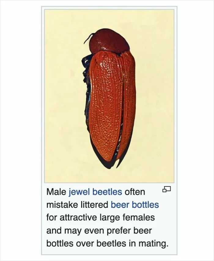 50 Times Wikipedia Pages Cracked People Up So They Had To Share Them Online