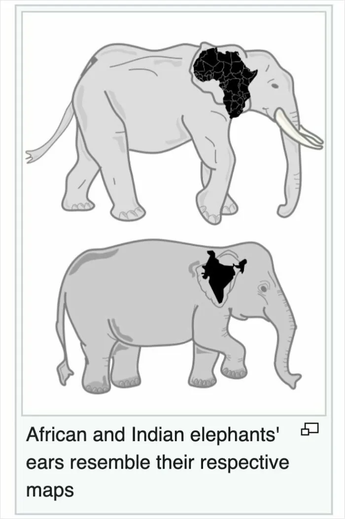 50 Times Wikipedia Pages Cracked People Up So They Had To Share Them Online
