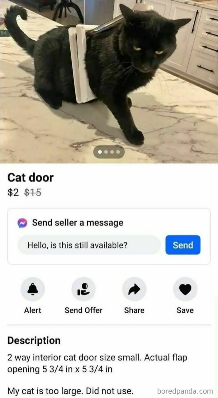 50 People Who Seemingly Don’t Know How Facebook Marketplace Actually Works