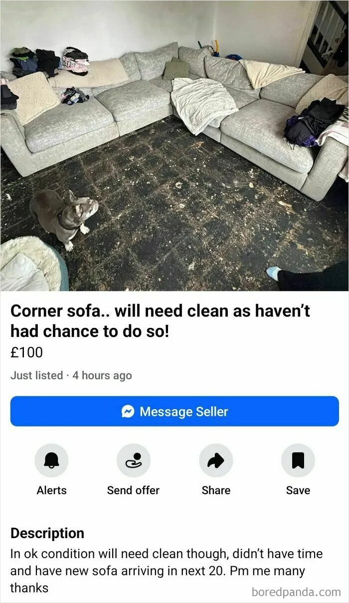 50 People Who Seemingly Don’t Know How Facebook Marketplace Actually Works
