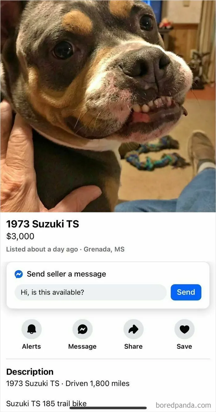 50 People Who Seemingly Don’t Know How Facebook Marketplace Actually Works