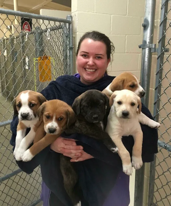 After 2 Years Of Depression & Anxiety, I Got My Dream Job At The SPCA, And I Couldn’t Be Happier