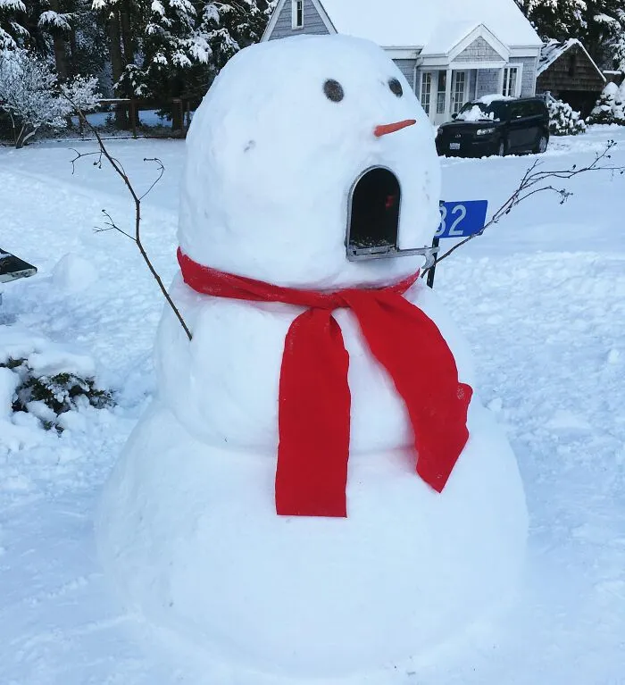 Mailbox Snowman My Wife Made While I Was At Work
