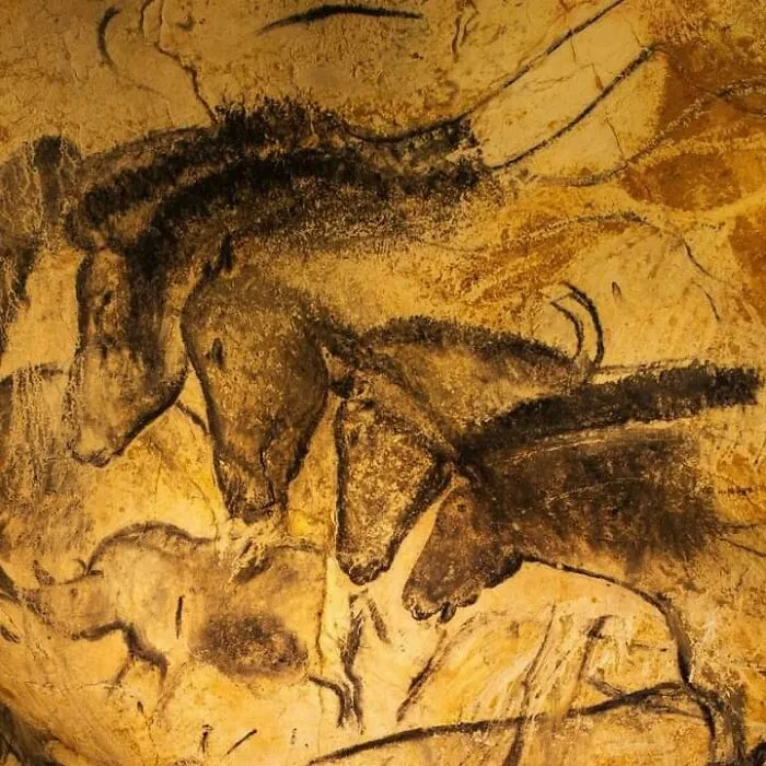 These Paintings In Chauvet-Pont-D'arc Cave In France Are More Than 36,000 Years Old
