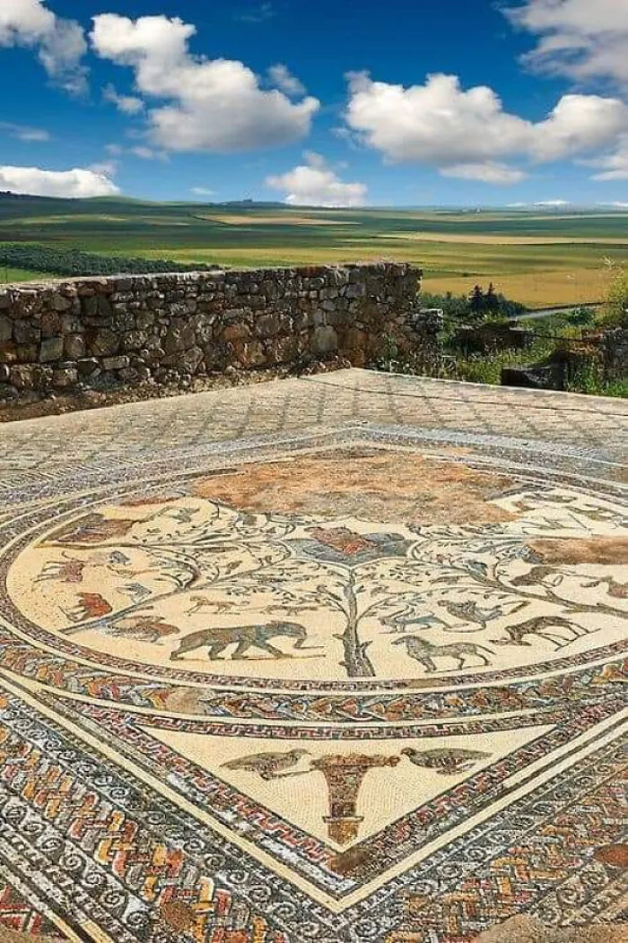 It’s Mind-Blowing How Well It’s Held Up — A Stunning 1,800 Year-Old Roman Mosaic Floor From The House Of Orpheus, Volubilis Near Meknes, Morocco