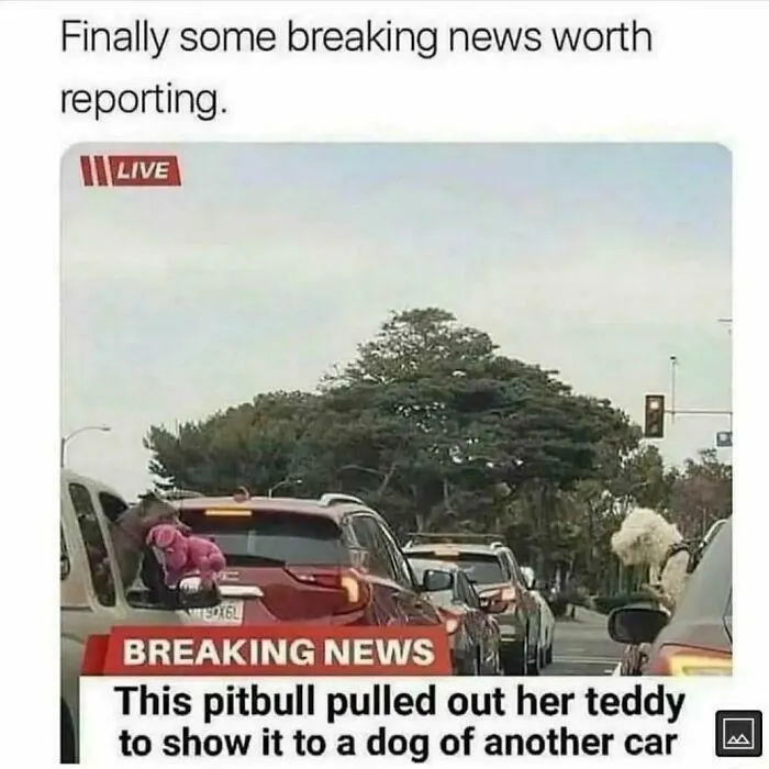 Teddy Diplomancy Begins