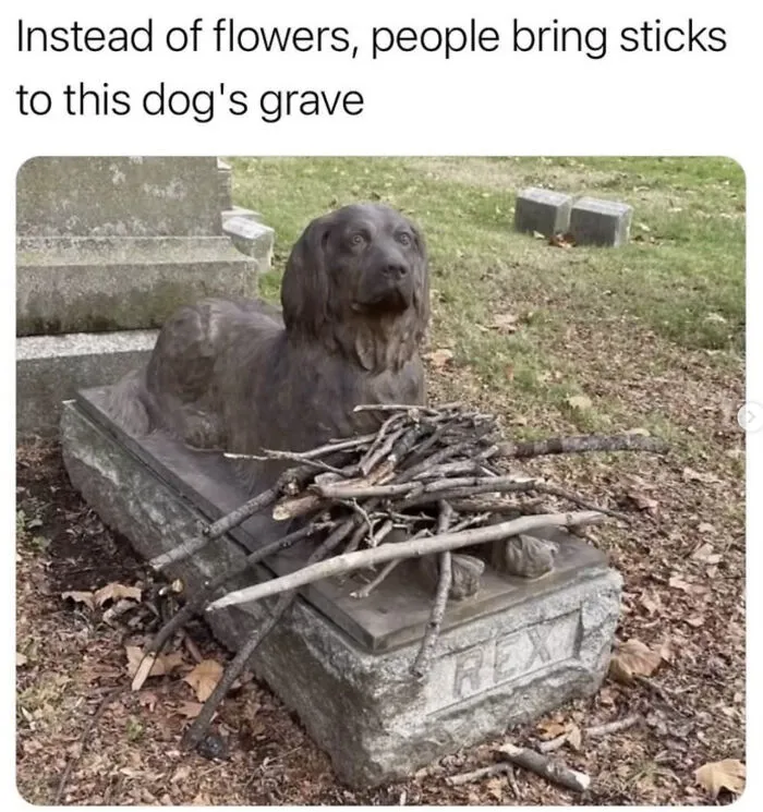 Good Sticks For A Good Pupper