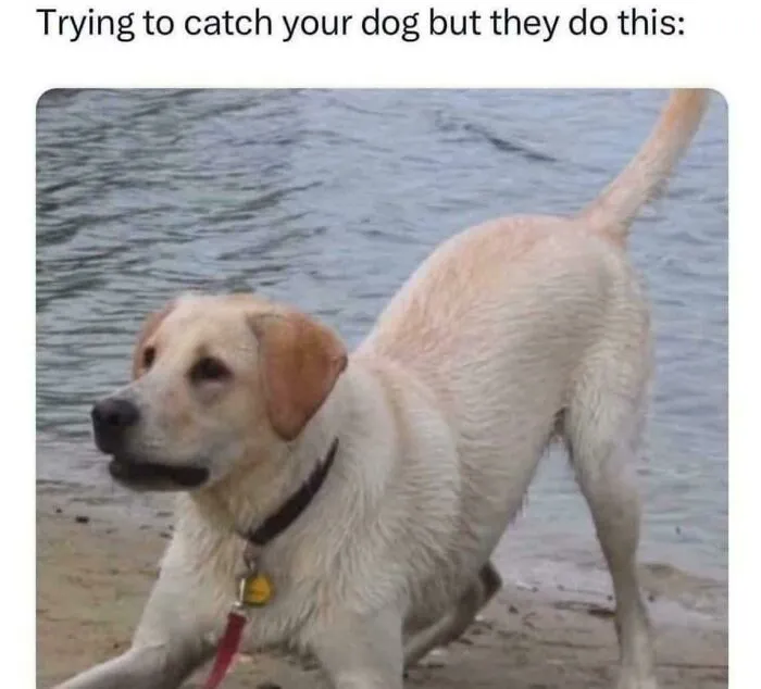 Every Time LOL