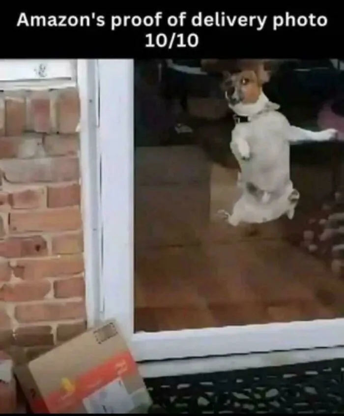 Perfectly Framed