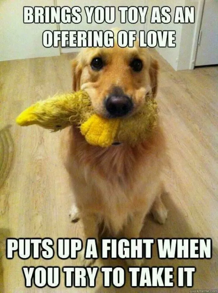 Every. Single. Time