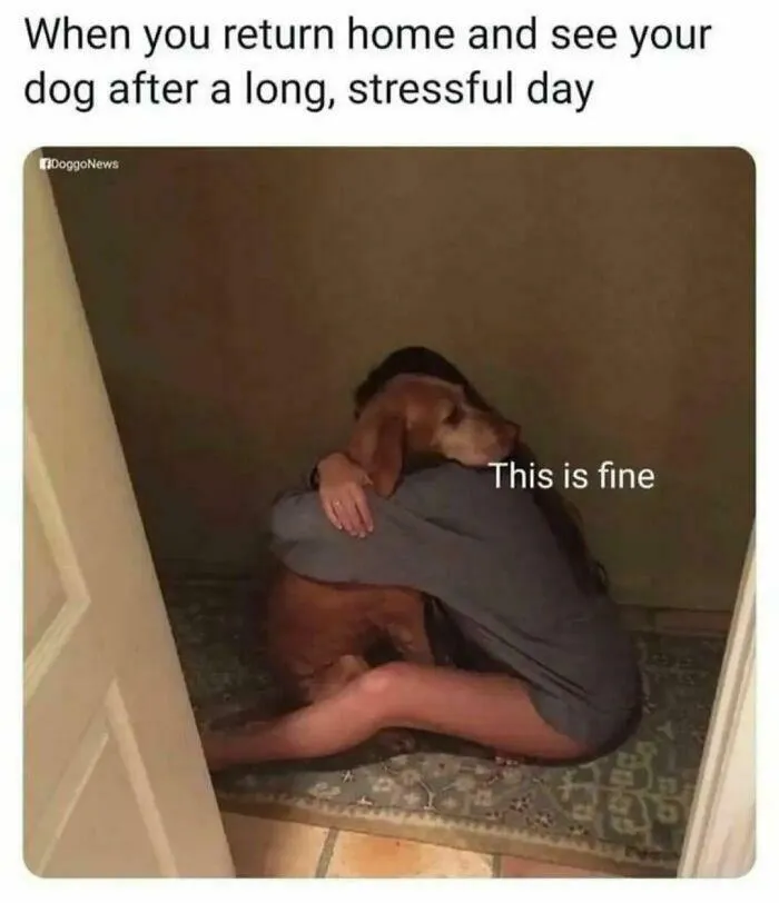 Therapist Doggo