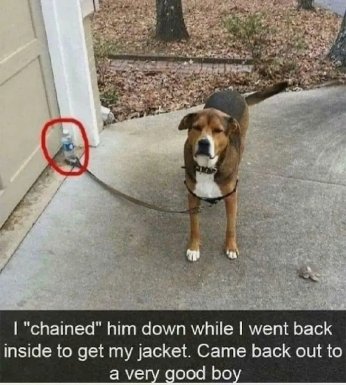 A Real Good Boy