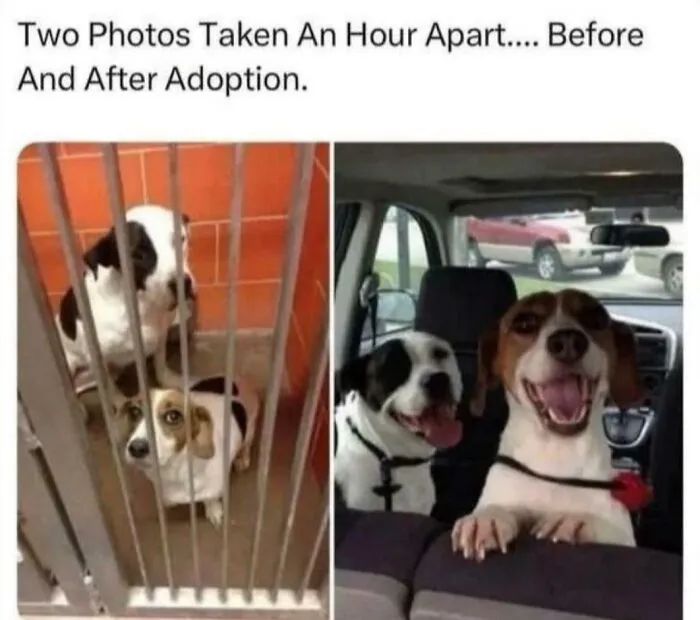 Awe They’re So Happy!!