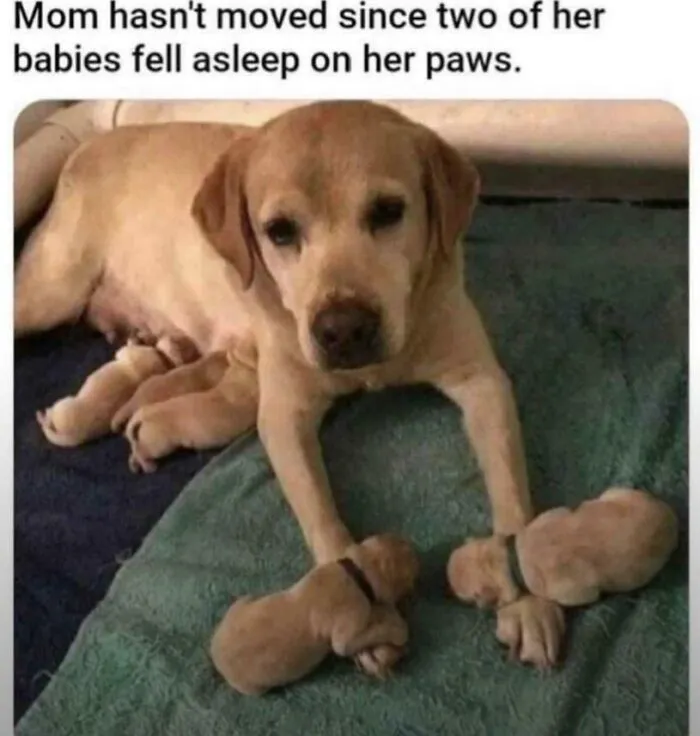 Aww Sweet Mama ❤