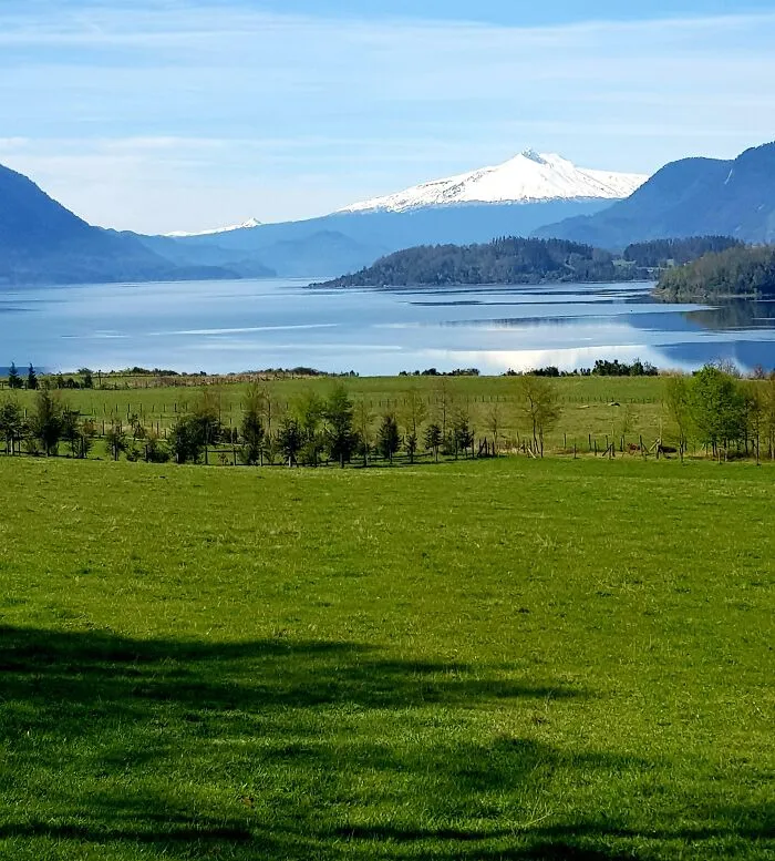 Dream Come True. My Own Little Piece Of Land. The South Of Chile