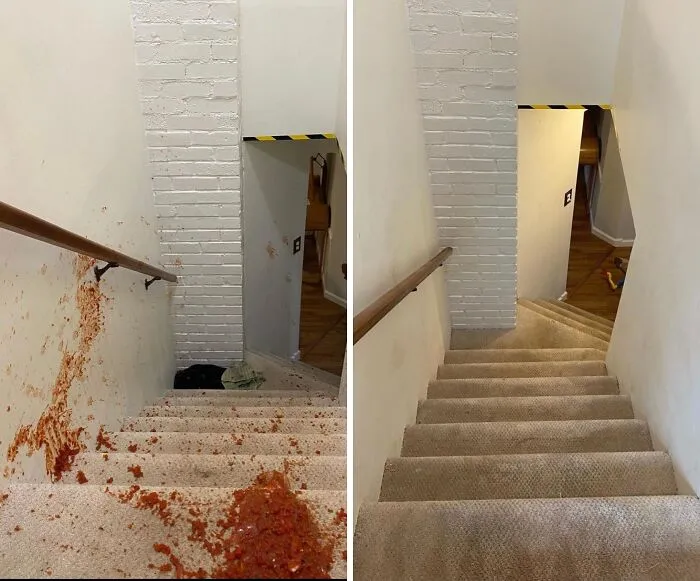 The Very Specific Red Wine Stain From Last Christmas That Tells A Very Long, Slightly Incriminating Story Can Be Completely Erased From The Record With Some <a Style="Display:inline;" Href="Https://Www.amazon.com/Folex-Instant-Carpet-Remover-128oz/Dp/B06vt2nlfy?ie=utf8&th=1&linkcode=ll1&tag=bpraccoon-20&linkid=0ec4b18aefd8fae0e406b71fcba76a7b&language=en_us&ref_=as_li_ss_tl" Target="_blank">   <span Style="Font: Inherit; Color: #d74b1f;"> Folex Instant Carpet Spot Remover </Span>