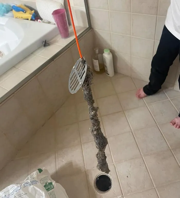  Your Mother-In-Law Doesn't Need To Know About The Horrifying, Multi-Generational Hair-Beast Living In Your Shower Drain, And A<a Style="Display:inline;" Href="Https://Www.amazon.com/Flexisnake-Drain-Weasel-Sink-Snake/Dp/B01nb0729g?ie=utf8&th=1&linkcode=ll1&tag=bpraccoon-20&linkid=a2d44f077511d816e9d13311f2e510ea&language=en_us&ref_=as_li_ss_tl" Target="_blank">   <span Style="Font: Inherit; Color: #d74b1f;"> Sink Snake Hair Clog Remover Tool </Span> Is The Perfect Accomplice For Getting Rid Of The Evidence