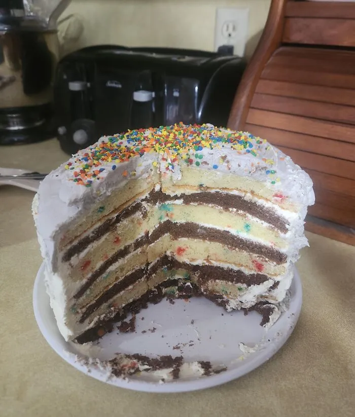 Layered cake with frosting and colorful sprinkles, showcasing a wholesome internet moment baking creation on a kitchen counter.