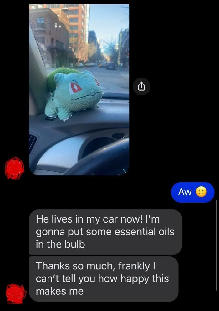 Plush Bulbasaur on car dashboard with text showing wholesome internet moment spreading happiness online.