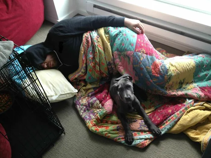 Le dije a mi novio que el nuevo cachorro no podía dormir en la cama