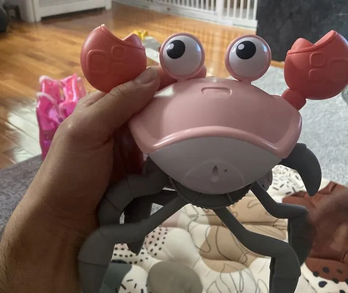 The Only Crab You'll Ever Be Happy To See Scuttling Across Your Living Room Floor Is This <a Style="Display:inline;" Href="Https://Www.amazon.com/Baby-Toys-Infant-Crawling-Crab/Dp/B0b5xpfkc3?dib=eyj2ijoimsj9.94ld4qluiauxkzr2zfpzanvxwqwbzp2mxg0wu6bfxzl_cit_jz_qcdfaanyq92hdmvj3yslxr1w7qqtibaz6wvxpf0ekk0itt97gddgyjpuaf_zg3cc5-I279iz-P54wgdhvris5ihbvwni4oe76cbsxj0yrwfaqin-Oeab5apu.j9kkkgz6tqj0ksj0lojxvtd3o_thqjx8qq5vnrn-1qg&dib_tag=se&qid=1763711988&sr=8-66&srs=121541889011&xpid=i1sxyuhg5n0fb&th=1&linkcode=ll1&tag=bprabbit-20&linkid=72e776dfb973c56d6573557106ff9b7c&language=en_us&ref_=as_li_ss_tl" Target="_blank">  <span Style="Font: Inherit; Color: #d74b1f;"> Crawling Crab Baby Toy </Span>