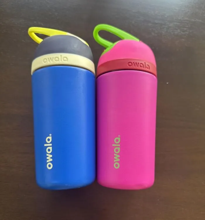 A Grown-Up Sippy Cup That Is Socially Acceptable To Carry Around Is The <a Style="Display:inline;" Href="Https://Www.amazon.com/Owala-Insulated-Stainless-Steel-Locking-14-Ounce/Dp/B0c46kpkxq?ie=utf8&th=1&linkcode=ll1&tag=bpmole-20&linkid=a91cbfc918370d508ead36f5f5932f43&language=en_us&ref_=as_li_ss_tl" Target="_blank">   <span Style="Font: Inherit; Color: #d74b1f;"> Owala Flip Insulated Stainless-Steel Water Bottle </Span>