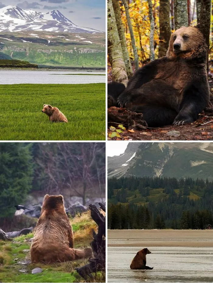 If You're Curious About The World, Here Are 80 Facts And Photos From "Spill Now"
