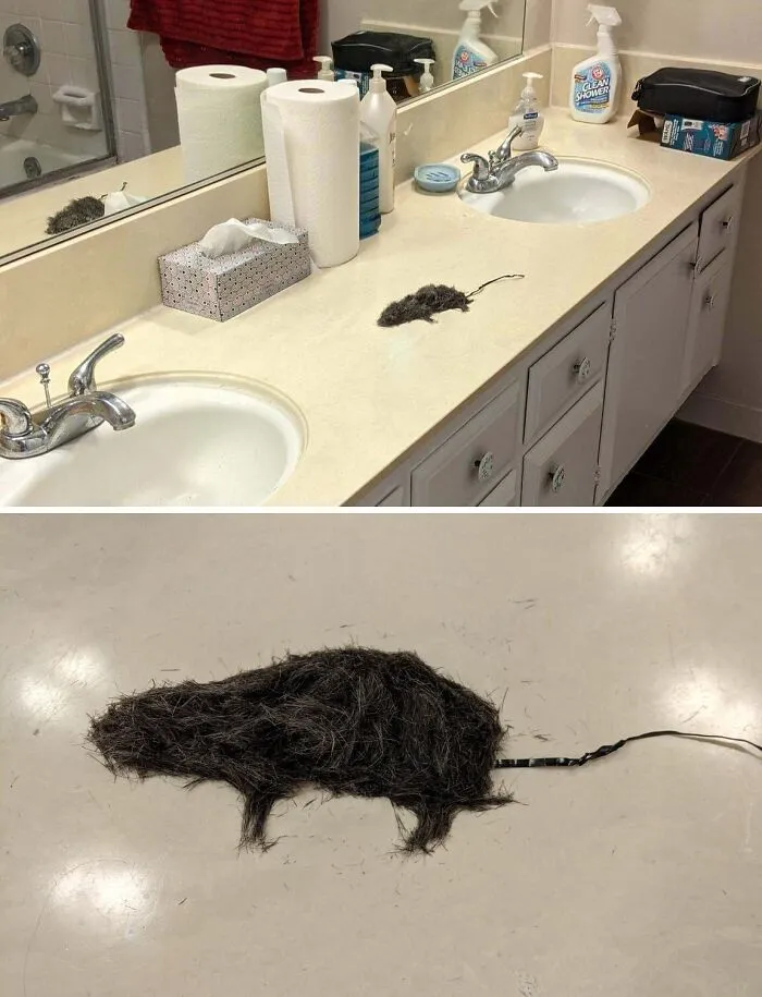 Bathroom countertop with beard hair shaped like a rat, showcasing a creative and wholesome men never grow up moment.