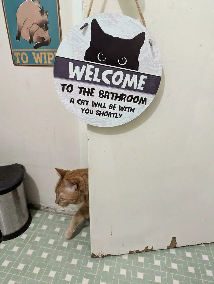 The Prophecy Foretold Of This!