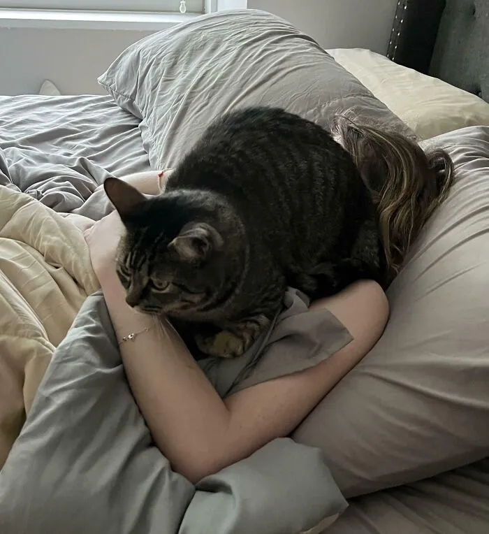 6:04 Am, My Wife Didn’t Wake Up To Feed Her (We’ve Had An Automatic Feeder For 6 Months Now)