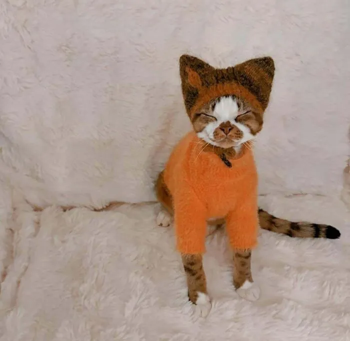 This Little Guy Is Really Happy With His Hat 😸💗