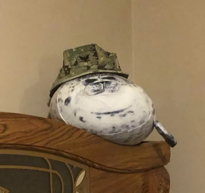 Plush seal wearing camouflage hat sitting on wooden furniture, showcasing men never grow up in a wholesome moment.