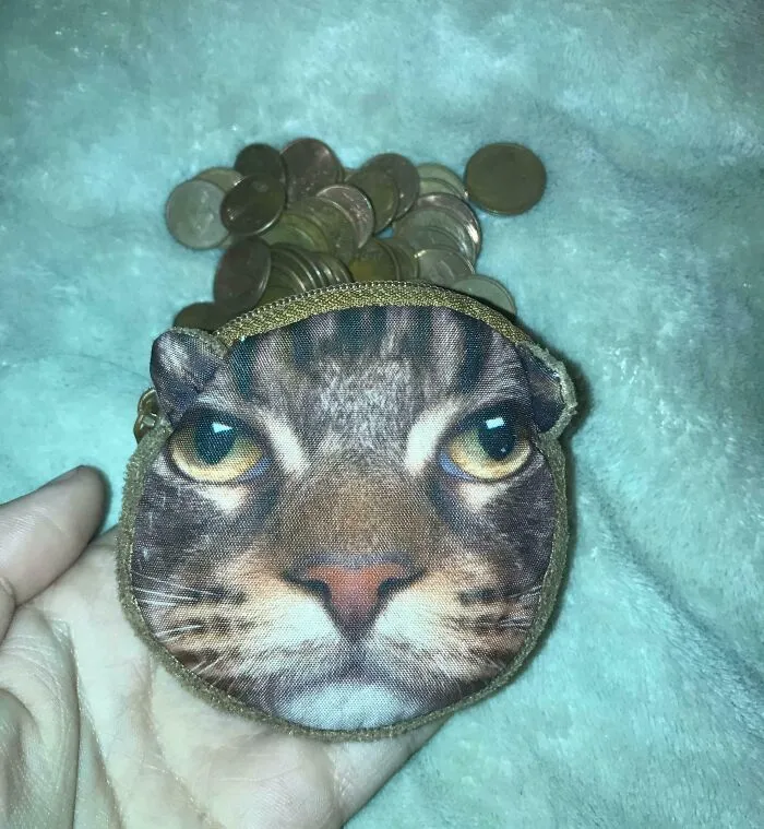 Cat face coin purse held in hand with coins spilling out, showcasing playful and wholesome moments men enjoy.