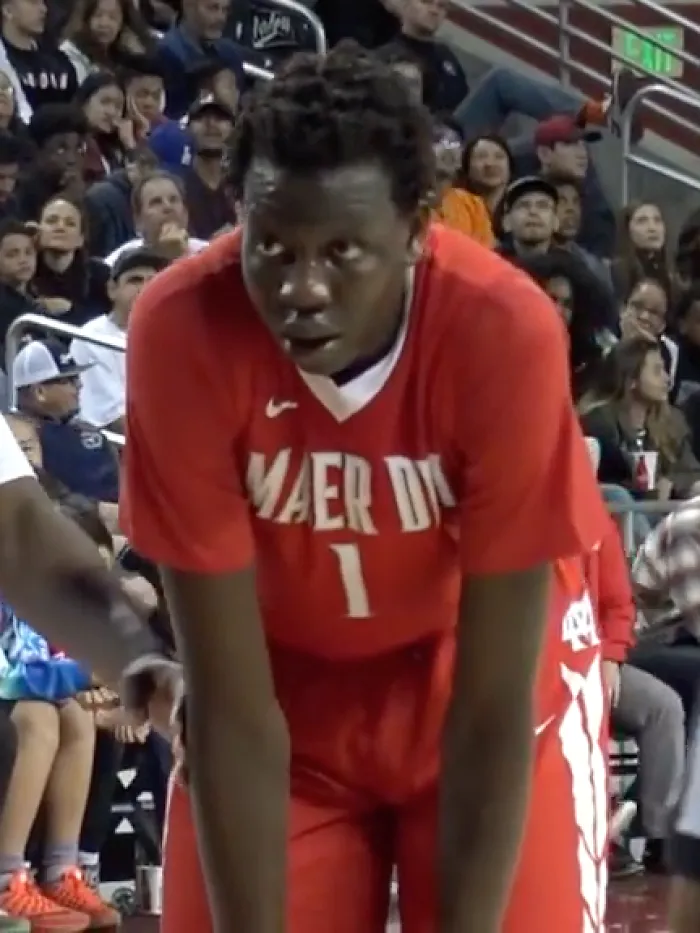 Basketball Player Bol Bol, 26
