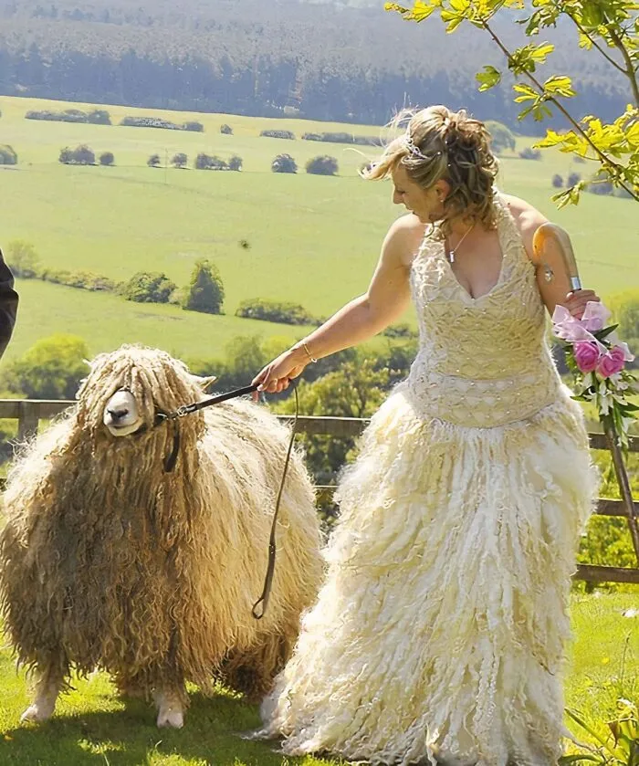 Vestido de lana de oveja