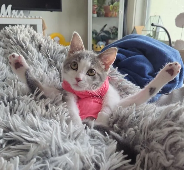 She Has 2 Questions!